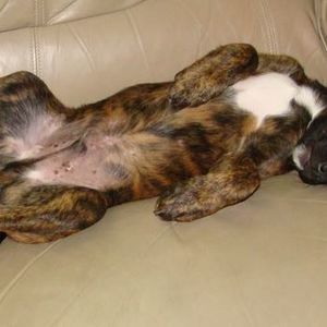 Meet your Posher, Greg